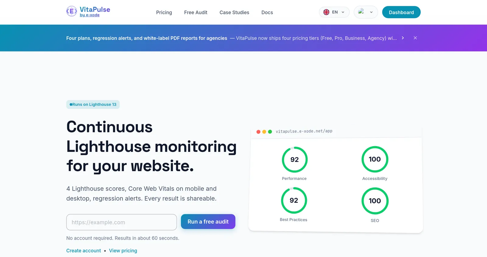 VitaPulse — landing page: continuous Lighthouse monitoring